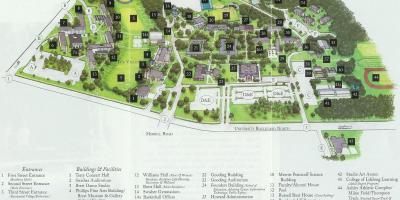 Jacksonville state university carte