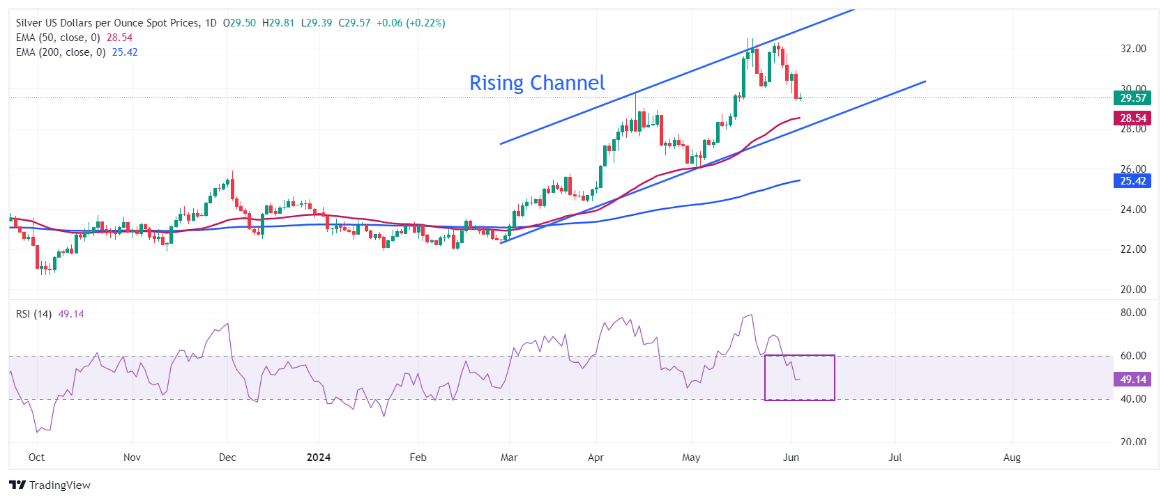 Silver Price Forecast: XAG/USD steadies below $30 ahead of US ISM Services PMI