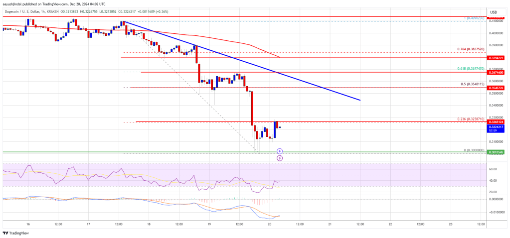 Dogecoin (DOGE) Plummets: Bears Take Full Control of the Market