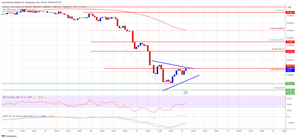 Bitcoin Price Takes a Hit—Is This Just the Beginning?